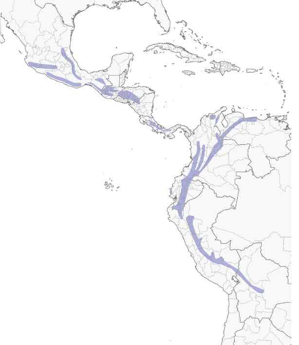 Distribución del Cucarachero Selvático, Grey-breasted Wood Wren, Henicorhina leucophrys