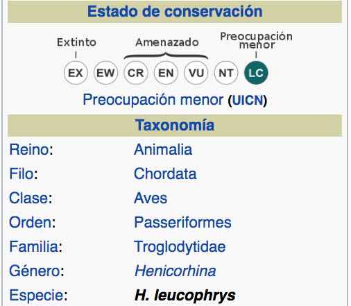 Taxonomía del Cucarachero Selvático, Grey-breasted Wood Wren, Henicorhina leucophrys