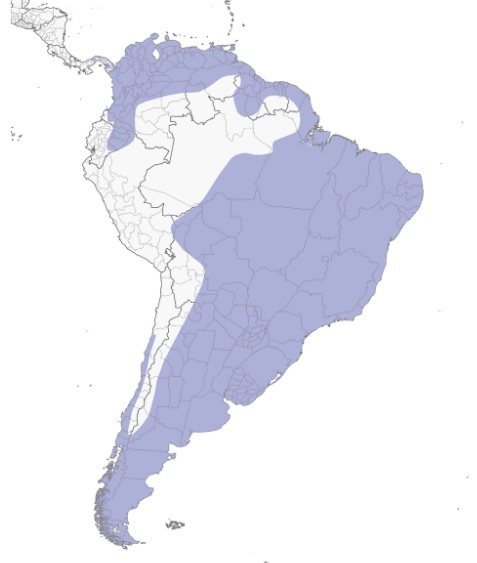 Distribución del Alcaraván