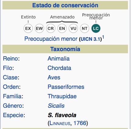 Saffron finch taxonomy