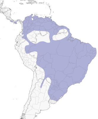 Yellow-headed Caracara Distribution
