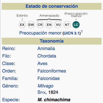 Taxonomía del Chiriguare