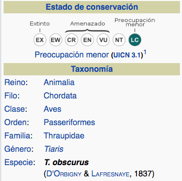 Taxonomía Espiguero Pardo, dull-coloured grassquit, Tiaris obscurus