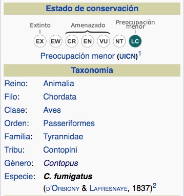TAXONOPMÍA Pibí Ahumado, Smoke-colored Pewee, Contopus fumigatus