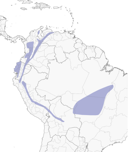 Distribución de Tangara Rey, Blue-necked Tanager, Tangara cyanicollis