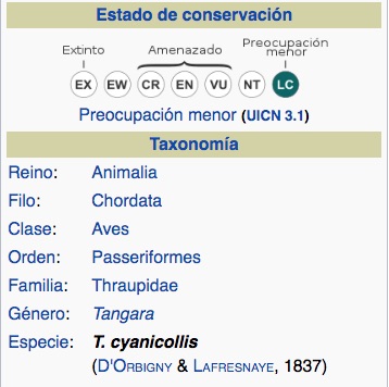 Taxonomía de la Tangara Rey, Blue-necked Tanager, Tangara cyanicollis