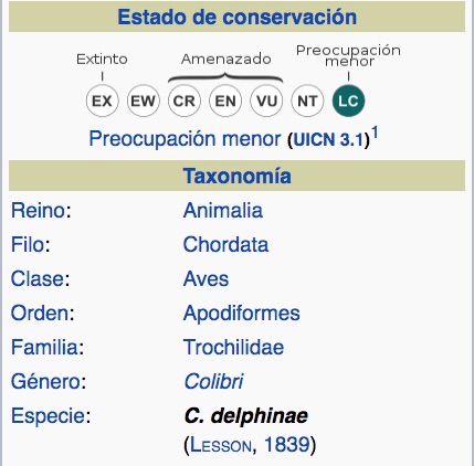 Colibrí Orejivioleta Marrón, Brown Violetear, Colibri delphinae. TAXONOMÍA