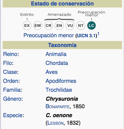 Colibrí Cola de Oro, Golden-tailed Sapphire, Chrysuronia oenone. TAXONOMÍA.