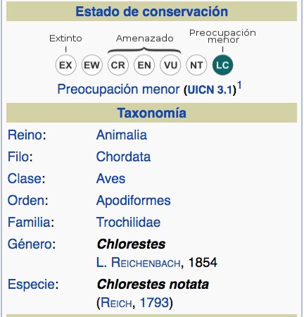 Colibrí Verdecito, Blue-chinned Sapphire, Chlorestes notata. TAXONOMÍA.