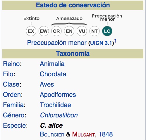 Esmeralda Coliverde, Green-tailed Emerald, Chlorostilbon alice. Taxonomía.