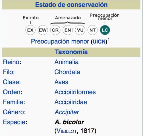 Gavilán Pantalón, Bicoloured Hawk, Accipiter bicolor. Taxonomia.